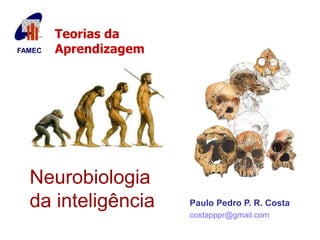 FAMEC 
Teorias da 
Aprendizagem 
Neurobiologia 
da inteligência 
Paulo Pedro P. R. Costa 
costapppr@gmail.com 
 