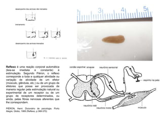 Reflexo é uma reação corporal automática 
(leia-se imediata e constante) à 
estimulação. Segundo Piéron, o reflexo 
corresponde a toda e qualquer atividade ou 
variação de atividade de um efetor 
(músculo, glândula, etc.) ou de um grupo de 
efetores que possa ser provocada de 
maneira regular pela estimulação natural ou 
experimental de um receptor ou de um 
grupo de receptores determinados, ou 
ainda, pelas fibras nervosas aferentes que 
lhe correspondem. 
PIÉRON, Henri. Dicionário de psicologia. Porto 
Alegre, Globo, 1969 (Reflexo, p.368-370) 
 