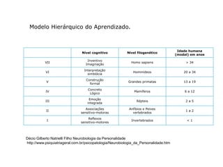 Modelo Hierárquico do Aprendizado. 
Nível cognitivo Nível filogenético 
Idade humana 
(modal) em anos 
VII 
Inventivo 
Imaginação 
Homo sapiens > 34 
VI 
Interpretação 
simbólcia 
Hominídeos 20 a 34 
V 
Construção 
formal 
Grandes primatas 13 a 19 
IV 
Concreto 
Lógico 
Mamíferos 6 a 12 
III 
Emoção 
integrada 
Répteis 2 a 5 
II 
Associações 
sensitivo-motoras 
Anfíbios e Peixes 
vertebrados 
1 a 2 
I 
Reflexos 
sensitivo-motores 
Invertebrados < 1 
Décio Gilberto Natrielli Filho Neurobiologia da Personalidade 
http://www.psiquiatriageral.com.br/psicopatologia/Neurobiologia_da_Personalidade.htm 
 