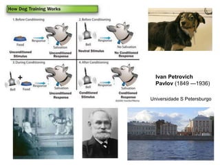 Ivan Petrovich 
Pavlov (1849 —1936) 
Universidade S Petersburgo 
 