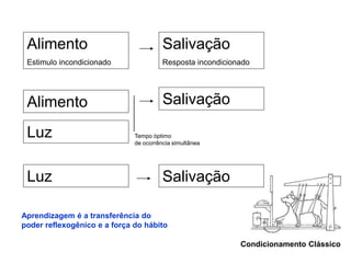 Alimento 
Estimulo incondicionado 
Salivação 
Resposta incondicionado 
Condicionamento Clássico 
Alimento 
Salivação 
Luz Tempo óptimo 
de ocorrência simultânea 
Luz Salivação 
Aprendizagem é a transferência do 
poder reflexogênico e a força do hábito 
 