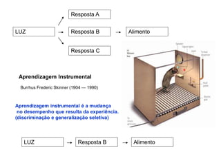 LUZ 
Resposta A 
Resposta B 
Resposta C 
Alimento 
Aprendizagem Instrumental 
Burrhus Frederic Skinner (1904 — 1990) 
Aprendizagem instrumental é a mudança 
no desempenho que resulta da experiência. 
(discriminação e generalização seletiva) 
LUZ Resposta B Alimento 
 