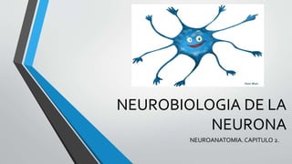 NEUROBIOLOGIA DE LA
NEURONA
NEUROANATOMIA. CAPITULO 2.
 