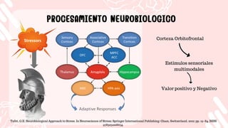 Tafet, G.E. Neurobiological Approach to Stress. In Neuroscience of Stress; Springer International Publishing: Cham, Switzerland, 2022; pp. 19–84. ISBN
9783031008634.
PROCESAMIENTO NEUROBIOLOGICO
PROCESAMIENTO NEUROBIOLOGICO
Corteza Orbitofrontal
Estimulos sensoriales
multimodales
Valor positivo y Negativo
 