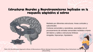 Mediado por diferentes estructuras: Areas corticales y
subcorticales
Cortezas sensoriales y asociativas, asociadas con el
procesamiento de entradas sensoriales recibidas a traves
del talamo y salida a estructuras limbicas
Amigdala, hipocampo, hipotalamo
Estructuras Neurales y Neurotransmisores implicados en la
respuesta adaptativa al estres
Estructuras Neurales y Neurotransmisores implicados en la
respuesta adaptativa al estres
Tafet, G.E. Neurobiological Approach to Stress. In Neuroscience of Stress; Springer International Publishing: Cham, Switzerland, 2022; pp. 19–84. ISBN
9783031008634.
 