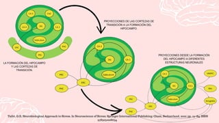 LA FORMACIÓN DEL HIPOCAMPO
Y LAS CORTEZAS DE
TRANSICIÓN.
PROYECCIONES DE LAS CORTEZAS DE
TRANSICIÓN A LA FORMACIÓN DEL
HIPOCAMPO.
PROYECCIONES DESDE LA FORMACIÓN
DEL HIPOCAMPO A DIFERENTES
ESTRUCTURAS NEURONALES
Tafet, G.E. Neurobiological Approach to Stress. In Neuroscience of Stress; Springer International Publishing: Cham, Switzerland, 2022; pp. 19–84. ISBN
9783031008634.
 
