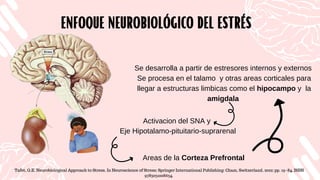 ENFOQUE NEUROBIOLÓGICO DEL ESTRÉS
ENFOQUE NEUROBIOLÓGICO DEL ESTRÉS
Se desarrolla a partir de estresores internos y externos
Se procesa en el talamo y otras areas corticales para
llegar a estructuras limbicas como el hipocampo y la
amigdala
Activacion del SNA y
Eje Hipotalamo-pituitario-suprarenal
Areas de la Corteza Prefrontal
Tafet, G.E. Neurobiological Approach to Stress. In Neuroscience of Stress; Springer International Publishing: Cham, Switzerland, 2022; pp. 19–84. ISBN
9783031008634.
 