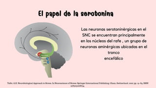 El papel de la serotonina
El papel de la serotonina
Las neuronas serotoninérgicas en el
SNC se encuentran principalmente
en los núcleos del rafe , un grupo de
neuronas aminérgicas ubicadas en el
tronco
encefálico
Tafet, G.E. Neurobiological Approach to Stress. In Neuroscience of Stress; Springer International Publishing: Cham, Switzerland, 2022; pp. 19–84. ISBN
9783031008634.
 
