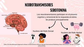 Nucleos del Rafe Dorsal
NEUROTRANSMISORES
NEUROTRANSMISORES
Los neurotransmisores participan en el proceso
cognitvo y emocional de la respuesta al estres
Se produce principalmente
Tafet, G.E. Neurobiological Approach to Stress. In Neuroscience of Stress; Springer International Publishing: Cham, Switzerland, 2022; pp. 19–84. ISBN
9783031008634.
Nucleos del Rafe Medial
SEROTONINA
SEROTONINA
 