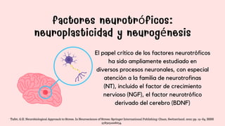 factores neurotróficos:
neuroplasticidad y neurogénesis
El papel crítico de los factores neurotróficos
ha sido ampliamente estudiado en
diversos procesos neuronales, con especial
atención a la familia de neurotrofinas
(NT), incluido el factor de crecimiento
nervioso (NGF), el factor neurotrófico
derivado del cerebro (BDNF)
Tafet, G.E. Neurobiological Approach to Stress. In Neuroscience of Stress; Springer International Publishing: Cham, Switzerland, 2022; pp. 19–84. ISBN
9783031008634.
 