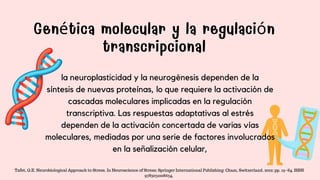 Genética molecular y la regulación
transcripcional
la neuroplasticidad y la neurogénesis dependen de la
síntesis de nuevas proteínas, lo que requiere la activación de
cascadas moleculares implicadas en la regulación
transcriptiva. Las respuestas adaptativas al estrés
dependen de la activación concertada de varias vías
moleculares, mediadas por una serie de factores involucrados
en la señalización celular,
Tafet, G.E. Neurobiological Approach to Stress. In Neuroscience of Stress; Springer International Publishing: Cham, Switzerland, 2022; pp. 19–84. ISBN
9783031008634.
 