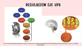 REGULACION EJE HPA
Tafet, G.E. Neurobiological Approach to Stress. In Neuroscience of Stress; Springer International Publishing: Cham, Switzerland, 2022; pp. 19–84. ISBN
9783031008634.
 