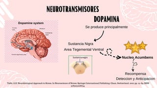 Sustancia Nigra
NEUROTRANSMISORES
NEUROTRANSMISORES
Se produce principalmente
Tafet, G.E. Neurobiological Approach to Stress. In Neuroscience of Stress; Springer International Publishing: Cham, Switzerland, 2022; pp. 19–84. ISBN
9783031008634.
Area Tegemental Ventral
DOPAMINA
DOPAMINA
Nucleo Acumbens
Recompensa
Deteccion y Anticipacion
 