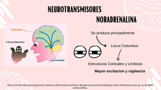 Locus Coeurelus
NEUROTRANSMISORES
NEUROTRANSMISORES
Se produce principalmente
Tafet, G.E. Neurobiological Approach to Stress. In Neuroscience of Stress; Springer International Publishing: Cham, Switzerland, 2022; pp. 19–84. ISBN
9783031008634.
Estructuras Corticales y Limbicas
NORADRENALINA
NORADRENALINA
Mayor excitacion y vigilancia
 