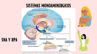 SISTEMAS MONOAMINERGICOS
SISTEMAS MONOAMINERGICOS
SNA Y HPA
SNA Y HPA
 