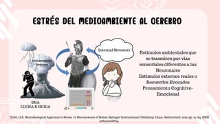 Internal Stressors
ESTRÉS DEL MEDIOAMBIENTE AL CEREBRO
ESTRÉS DEL MEDIOAMBIENTE AL CEREBRO
Tafet, G.E. Neurobiological Approach to Stress. In Neuroscience of Stress; Springer International Publishing: Cham, Switzerland, 2022; pp. 19–84. ISBN
9783031008634.
Estimulos ambientales que
se trasmiten por vias
sensoriales diferentes a las
Neuronales
Estimulos externos reales o
Recuerdos Evocados
Pensamiento Cognitivo-
Emocional
SNA
LUCHA E HUIDA
 