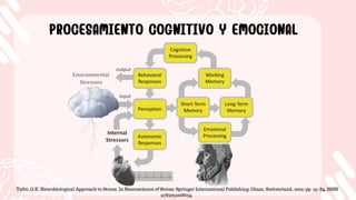 PROCESAMIENTO COGNITIVO Y EMOCIONAL
PROCESAMIENTO COGNITIVO Y EMOCIONAL
Tafet, G.E. Neurobiological Approach to Stress. In Neuroscience of Stress; Springer International Publishing: Cham, Switzerland, 2022; pp. 19–84. ISBN
9783031008634.
 