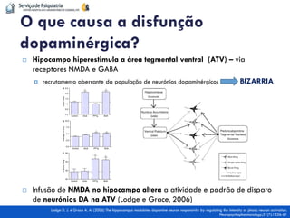 Hipocampo hiperestimula a área tegmental ventral (ATV) – via receptores NMDA e GABA 
recrutamento aberrante da população de neurónios dopaminérgicos BIZARRIA 
Infusão de NMDA no hipocampo altera a atividade e padrão de disparo de neurónios DA na ATV (Lodge e Grace, 2006) 
O que causa a disfunção dopaminérgica? 
Lodge D. J. e Grace A. A. (2006) The hippocampus modulates dopamine neuron responsivity by regulating the intensity of phasic neuron activation. Neuropsychopharmacology;31(7):1356-61 
 