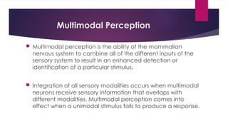 Neurobiological-Basis-of-Behavior (1).pptx