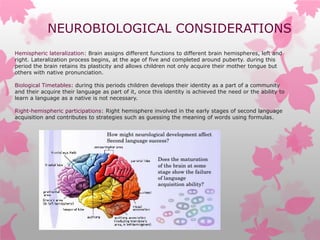 NEUROBIOLOGICAL CONSIDERATIONS
Hemispheric lateralization: Brain assigns different functions to different brain hemispheres, left and
right. Lateralization process begins, at the age of five and completed around puberty. during this
period the brain retains its plasticity and allows children not only acquire their mother tongue but
others with native pronunciation.
Biological Timetables: during this periods children develops their identity as a part of a community
and their acquire their language as part of it, once this identity is achieved the need or the ability to
learn a language as a native is not necessary.
Right-hemispheric participations: Right hemisphere involved in the early stages of second language
acquisition and contributes to strategies such as guessing the meaning of words using formulas.
 