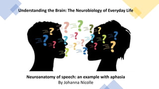 Understanding the Brain: The Neurobiology of Everyday Life
Neuroanatomy of speech: an example with aphasia
By Johanna Nicolle
 