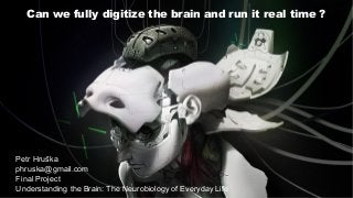 Can we fully digitize the brain and run it real time ?
Petr Hruška
phruska@gmail.com
Final Project
Understanding the Brain: The Neurobiology of Everyday Life
 