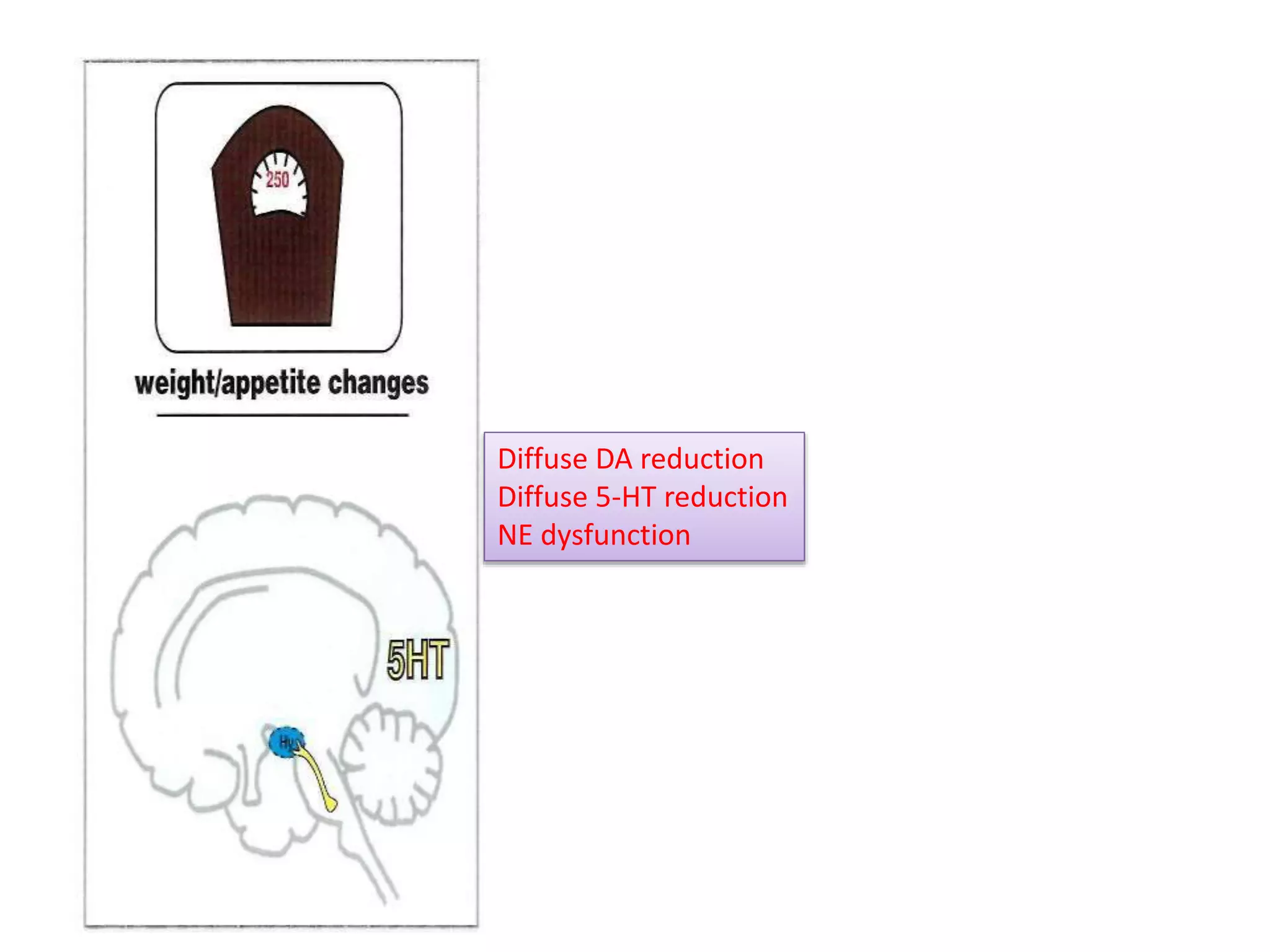 Diffuse DA reduction
Diffuse 5-HT reduction
NE dysfunction
 