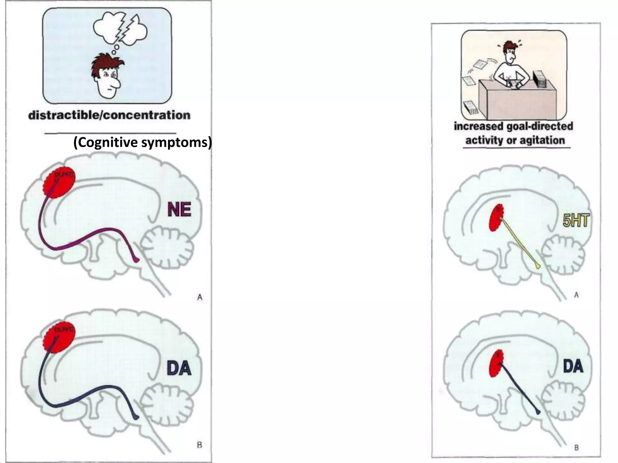 (Cognitive symptoms)
 