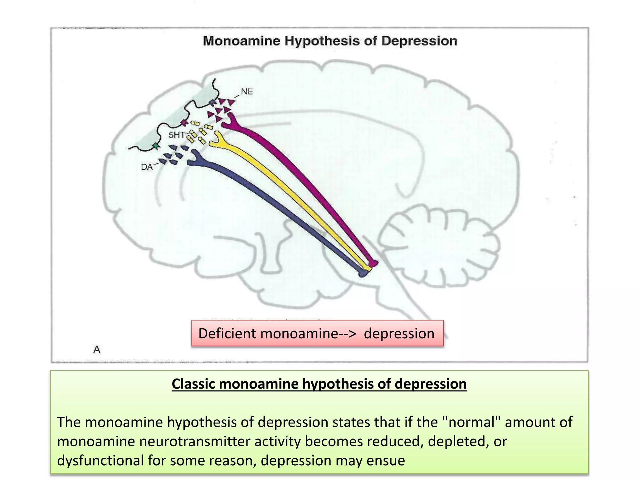 Classic monoamine hypothesis of depression
The monoamine hypothesis of depression states that if the "normal" amount of
monoamine neurotransmitter activity becomes reduced, depleted, or
dysfunctional for some reason, depression may ensue
Deficient monoamine--> depression
 