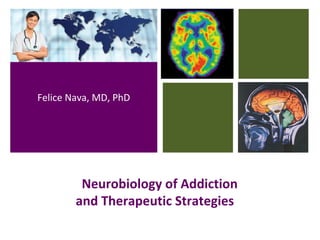 Neurobiology of Addiction
and Therapeutic Strategies
Felice Nava, MD, PhD
 