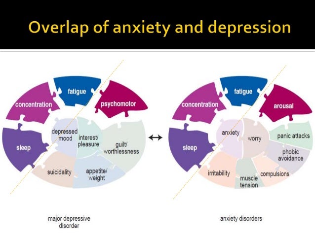 Neurobiology Of Anxiety Neurobiology Of Anxiety
