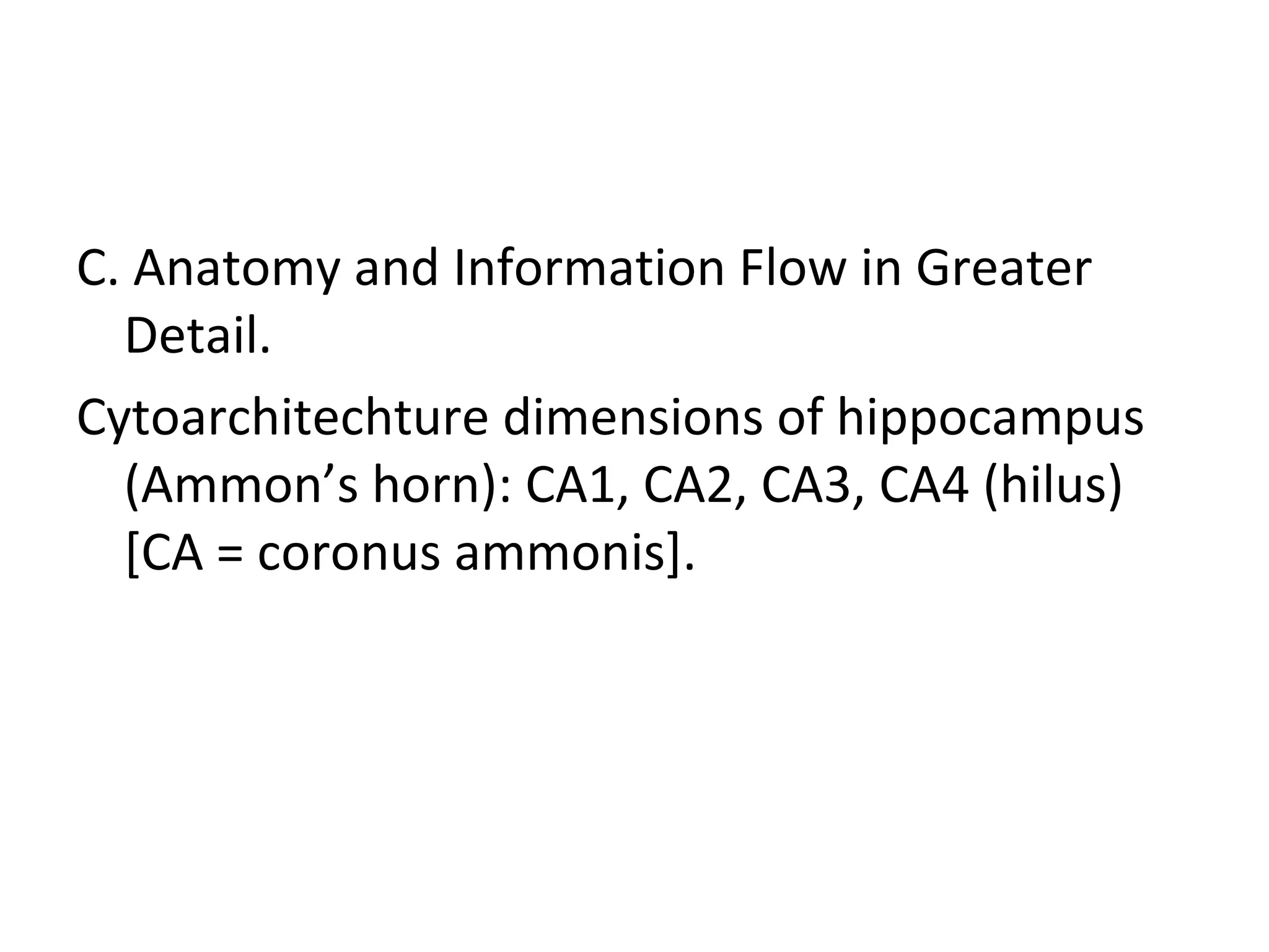 C. Anatomy and Information Flow in Greater
Detail.
Cytoarchitechture dimensions of hippocampus
(Ammon’s horn): CA1, CA2, CA3, CA4 (hilus)
[CA = coronus ammonis].
 