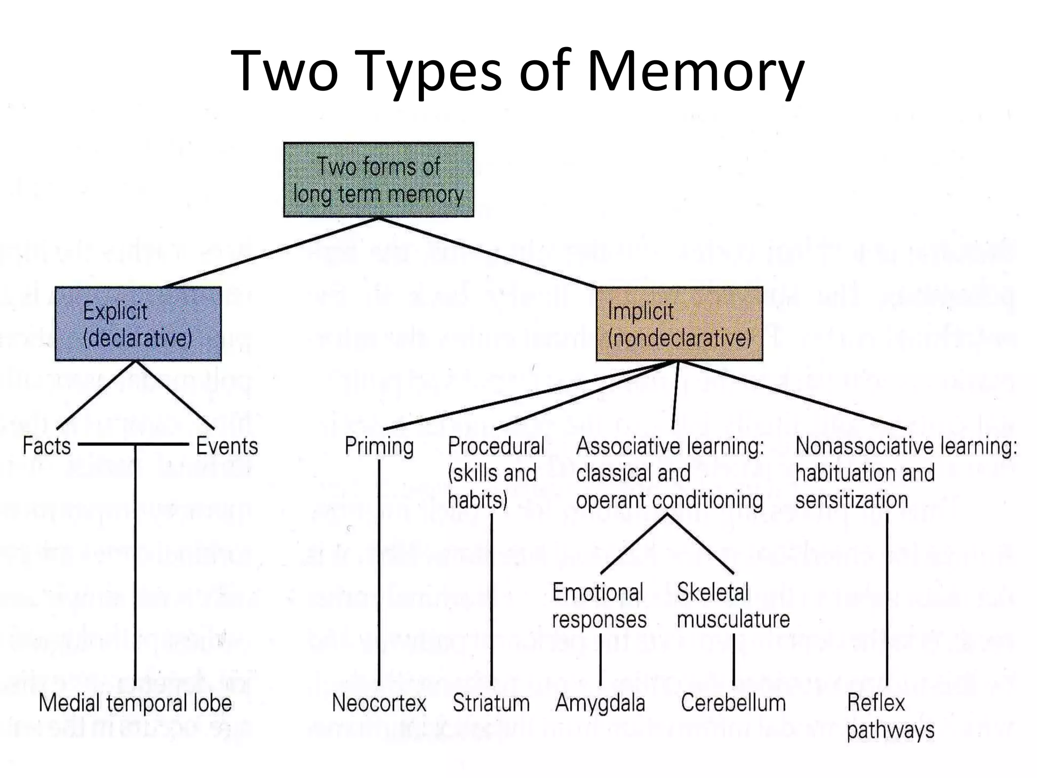 Two Types of Memory
 