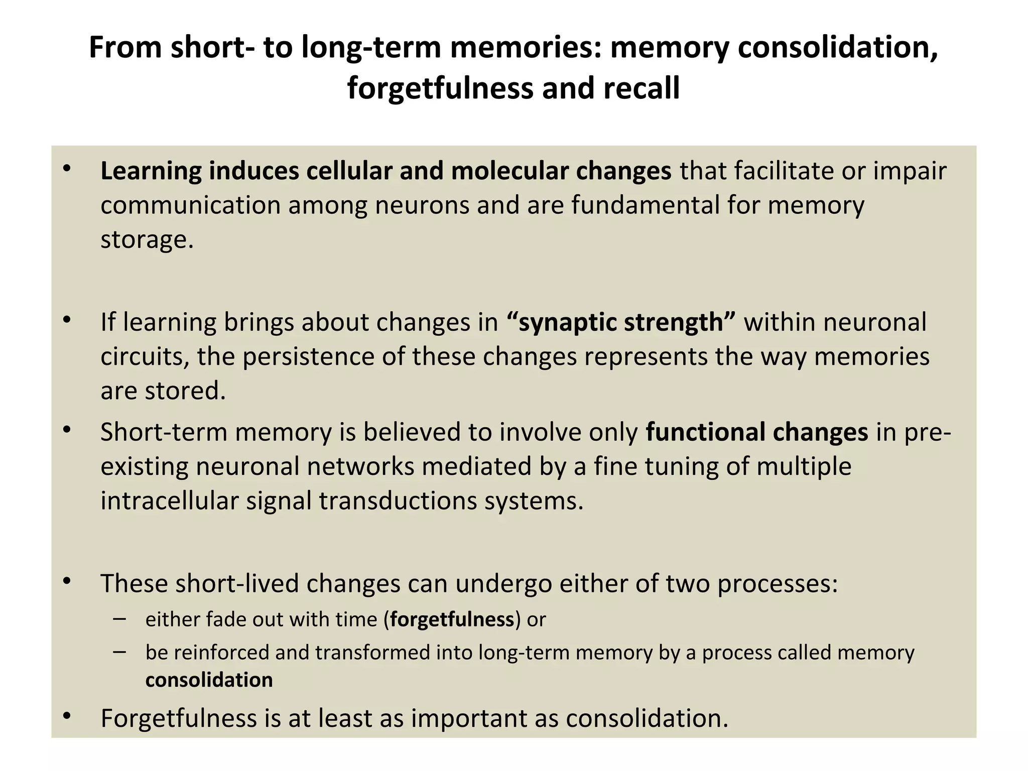 From short- to long-term memories: memory consolidation,
forgetfulness and recall
• Learning induces cellular and molecular changes that facilitate or impair
communication among neurons and are fundamental for memory
storage.
• If learning brings about changes in “synaptic strength” within neuronal
circuits, the persistence of these changes represents the way memories
are stored.
• Short-term memory is believed to involve only functional changes in pre-
existing neuronal networks mediated by a fine tuning of multiple
intracellular signal transductions systems.
• These short-lived changes can undergo either of two processes:
– either fade out with time (forgetfulness) or
– be reinforced and transformed into long-term memory by a process called memory
consolidation
• Forgetfulness is at least as important as consolidation.
 