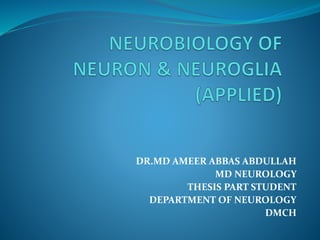 neurobiology of neuroglia Applied dr ameer abbas final .pptx