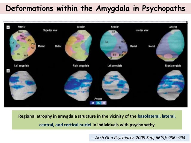 Neurobiology of psychopathic behavior