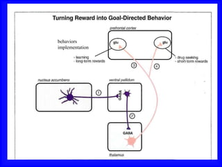 behaviors
implementation
 