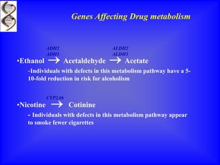 Genes Affecting Drug metabolism
•Ethanol  Acetaldehyde  Acetate
-Individuals with defects in this metabolism pathway have a 5-
10-fold reduction in risk for alcoholism
•Nicotine  Cotinine
- Individuals with defects in this metabolism pathway appear
to smoke fewer cigarettes
ADH2
ADH3
ALDH2
ALDH3
CYP2A6
 
