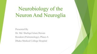 Neurobiology of the
Neuron And Neuroglia
Presented By
Dr. Md. Shafiqul Islam Dewan
Resident (Pulmonology), Phase-A
Dhaka Medical College Hospital
 