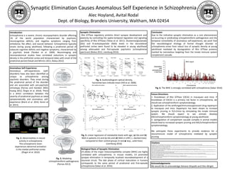 Synaptic Elimination Causes Anomalous Self Experience in Schizophrenia
Alec Hoyland, Avital Rodal
Dept. of Biology, Brandeis University, Waltham, MA 02454
Introduction
Schizophrenia is a severe, chronic neuropsychiatric disorder affecting
1% of the world population characterized by psychosis,
neurocognitive deficits, and negative symptoms ranging from
anhedonia, flat affect, and asocial behavior. Schizophrenia typically
onsets during young adulthood, following a prodromal period of
subacute cognitive deficits and negative symptoms, characterized by
a psychotic break (Tandon et al. 2009). Neuroimaging and
neuroanatomical studies have correlated reductions in synaptic
density in the prefrontal cortex and temporal lobes with onset of the
prodromal period (Faludi and Mirnics 2011; Boksa 2012)
Anomalous Self-Experience
Anomalous self-experiences (self-
disorders) have also been identified as
unique to schizophrenia among
psychotic disorders. They onset during
the prodromal period of the disorder
and are associated with pre-psychotic
schizotypy (Parnas and Handest 2003;
Huang 2012, Öngür et al. 2010). There
is a direct correlation between the
severity of prodromal psychosis as rated
symptomatically and anomalous self-
experience (Brent et al. 2014; Koren et
al. 2013).
Biological Basis of Synaptic Elimination
C4 alleles of the major histocompatibility complex (MHC) are highly
correlated with schizophrenia. In mouse models, C4 promoted
synapse elimination in temporally localized neurodevelopment of a
neuronal circuit. The late phase of cortical maturation in humans
corresponds to the same period of prodromal and first-episode
schizophrenia (Sekar et al. 2016).
Fig. 6. The MHC is strongly correlated with schizophrenia (Sekar 2016)
Future Directions
1. Knockdown of Rho GTPase CDC42 in macaques and mice. If
knockdown of CDC42 is a primary risk factor in schizophrenia, we
should see schizophreniform symptomatology.
2. Application of the antifungal/immunosuppressant drug rapamycin
to macaques and mice. Rapamycin has been shown to increase
synaptic pruning in Ts2+/mice by stimulating the innate immune
system. We should expect to see animals develop
ASE/schizophreniform symptomatology at young adulthood.
3. Upregulation of complement cascade complex in animal models
should lead to increased synaptic pruning and ASE/schizophreniform
symptomatology.
We anticipate these experiments to provide evidence for a
neuroimmune model of schizophrenia mediated by synaptic
pruning.
Synaptic Elimination
Rho GTPase regulatory proteins direct synapse development and
plasticity by controlling the spatio-temporal regulation and signaling
specificity of Rho GTPases (Tolias et al. 2011). Glutamine/glutamate
(Glx) and N-acetylaspartate (NAA) levels in the dorsolateral
prefrontal cortex were found to be elevated in young adulthood
among attenuated and first-episode psychotics (schizophrenia
spectrum) (Boksa 2012, Liemburg 2016).
Fig. 3. Modeling
schizophreniform pathogenesis
(Parnas 2013)
Fig. 2. Abnormalities in neural
activity in schizophrenia
The schizophrenic brain
experiences abnormal activation
in the medial prefrontal cortex
(Öngür et al. 2010)
(Parnas 2013)
Fig. 5. Linear regression of metabolite levels with age, (a) Glx and (b)
NAA in patients (○) and (c) Glx and (d) NAA in UHR (□; dashed lines)
compared to their control groups (• and ■ resp., solid lines)
(Liemburg 2016)
Fig. 4. Audioradiogram optical density,
horizontal bars indicate mean (Hill et al. 2006)
Conclusion
Due to the indicative synaptic elimination as a core phenomenon
co-occurring or predicating schizophreniform pathogenesis and the
temporal comorbidity of anomalous self-experience, we posit that
the neurobiological etiology of formal thought disorder in
schizophrenia arises from robust loss of synaptic density at young
adulthood mediated by dysregulation of Rho GTPase proteins
marked by overzealous targeting from the innate immune system
complement cascade.
Citations
Boksa, Patricia. 2012. “Abnormal Synaptic Pruning in Schizophrenia: Urban Myth or Reality?” Journal of Psychiatry & Neuroscience : JPN 37 (2): 75–77. doi:10.1503/jpn.120007.
Brent, Benjamin K., Larry J. Seidman, Heidi W. Thermenos, Daphne J. Holt, and Matcheri S. Keshavan. 2014. “Self-Disturbances as a Possible Premorbid Indicator of Schizophrenia Risk: A Neurodevelopmental Perspective.”
Schizophrenia Research 152 (1). doi:10.1016/j.schres.2013.07.038.
Faludi, Gábor, and Károly Mirnics. 2011. “Synaptic Changes in the Brain of Subjects with Schizophrenia.” International Journal of Developmental Neuroscience: The Official Journal of the International Society for Developmental
Neuroscience 29 (3): 305–9. doi:10.1016/j.ijdevneu.2011.02.013.
Huang, Elizabeth. 2012. “Anomalous Self-Experience in Schizophrenia.” https://www.duo.uio.no/bitstream/handle/10852/34633/dravhandling-haug.pdf?sequence=1.
Koren, D., N. Reznik, M. Adres, R. Scheyer, A. Apter, T. Steinberg, and J. Parnas. 2013. “Disturbances of Basic Self and Prodromal Symptoms among Non-Psychotic Help-Seeking Adolescents.” Psychological Medicine 43 (07):
1365–76. doi:10.1017/S0033291712002322.
Liemburg, Edith, Anita Sibeijn-Kuiper, Leonie Bais, Gerdina Pijnenborg, Henderikus Knegtering, Jorien van der Velde, Esther Opmeer, et al. 2016. “Prefrontal NAA and Glx Levels in Different Stages of Psychotic Disorders: A 3T
1H-MRS Study.” Scientific Reports 6 (February): 21873. doi:10.1038/srep21873.
Parnas, Josef, and Peter Handest. 2003. “Phenomenology of Anomalous Self-Experience in Early Schizophrenia.” Comprehensive Psychiatry 44 (2): 121–34. doi:10.1053/comp.2003.50017.
Sekar, Aswin, Allison R. Bialas, Heather de Rivera, Avery Davis, Timothy R. Hammond, Nolan Kamitaki, Katherine Tooley, et al. 2016. “Schizophrenia Risk from Complex Variation of Complement Component 4.” Nature 530
(7589): 177–83. doi:10.1038/nature16549.
Tandon, Rajiv, Henry Nasrallah, and Matcheri S. Keshavan. 2009. “Schizophrenia, ‘Just the Facts.’” Schizophrenia Research.
Tolias, Kimberley F., Joseph G. Duman, and Kyongmi Um. 2011. “Control of Synapse Development and Plasticity by Rho GTPase Regulatory Proteins.” Progress in Neurobiology 94 (2): 133–48.
doi:10.1016/j.pneurobio.2011.04.011.
Acknowledgements
We would like to acknowledge Adriane Otopalik and Ellen Wright.
 