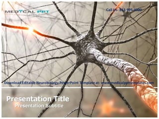 Editable Neurobiology PowerPoint Template
