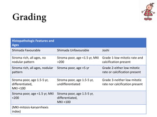 Shimada Classification Neuroblastoma | PDF