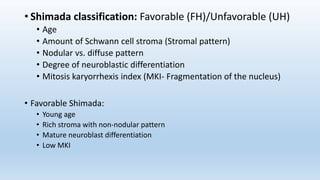 • Shimada classification: Favorable (FH)/Unfavorable (UH)
• Age
• Amount of Schwann cell stroma (Stromal pattern)
• Nodular vs. diffuse pattern
• Degree of neuroblastic differentiation
• Mitosis karyorrhexis index (MKI- Fragmentation of the nucleus)
• Favorable Shimada:
• Young age
• Rich stroma with non-nodular pattern
• Mature neuroblast differentiation
• Low MKI
 