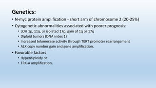 Genetics:
• N-myc protein amplification - short arm of chromosome 2 (20-25%)
• Cytogenetic abnormalities associated with poorer prognosis:
• LOH 1p, 11q, or isolated 17p; gain of 1q or 17q
• Diploid tumors (DNA index 1)
• Increased telomerase activity through TERT promoter rearrangement
• ALK copy number gain and gene amplification.
• Favorable factors
• Hyperdiploidy or
• TRK-A amplification.
 