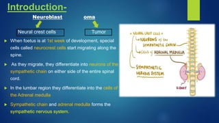 Introduction-
Neuroblast oma
Neural crest cells Tumor
 When foetus is at 1st week of development, special
cells called neurocrest cells start migrating along the
spine.
 As they migrate, they differentiate into neurons of the
sympathetic chain on either side of the entire spinal
cord.
 In the lumbar region they differentiate into the cells of
the Adrenal medulla
 Sympathetic chain and adrenal medulla forms the
sympathetic nervous system.
 