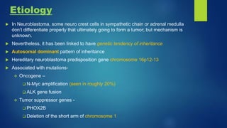 Etiology
 In Neuroblastoma, some neuro crest cells in sympathetic chain or adrenal medulla
don’t differentiate properly that ultimately going to form a tumor; but mechanism is
unknown.
 Nevertheless, it has been linked to have genetic tendency of inheritance
 Autosomal dominant pattern of inheritance
 Hereditary neuroblastoma predisposition gene chromosome 16p12-13
 Associated with mutations-
 Oncogene –
 N-Myc amplification (seen in roughly 20%)
 ALK gene fusion
 Tumor suppressor genes -
 PHOX2B
 Deletion of the short arm of chromosome 1
 