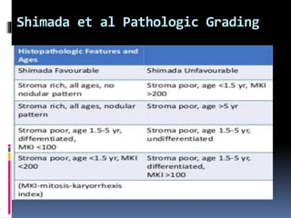 Shimada et al Pathologic Grading
 