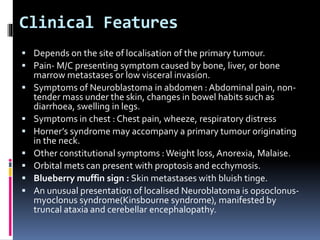 Clinical Features
 Depends on the site of localisation of the primary tumour.
 Pain- M/C presenting symptom caused by bone, liver, or bone
marrow metastases or low visceral invasion.
 Symptoms of Neuroblastoma in abdomen : Abdominal pain, non-
tender mass under the skin, changes in bowel habits such as
diarrhoea, swelling in legs.
 Symptoms in chest : Chest pain, wheeze, respiratory distress
 Horner’s syndrome may accompany a primary tumour originating
in the neck.
 Other constitutional symptoms :Weight loss, Anorexia, Malaise.
 Orbital mets can present with proptosis and ecchymosis.
 Blueberry muffin sign : Skin metastases with bluish tinge.
 An unusual presentation of localised Neuroblatoma is opsoclonus-
myoclonus syndrome(Kinsbourne syndrome), manifested by
truncal ataxia and cerebellar encephalopathy.
 