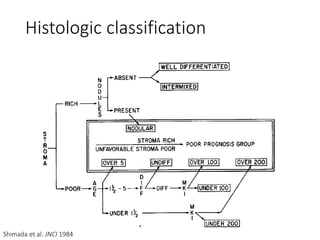 Shimada et al. JNCI 1984
Histologic classification
 