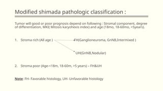 Shimada Classification NEUROBLASTOMA in children topic presentation.pptx